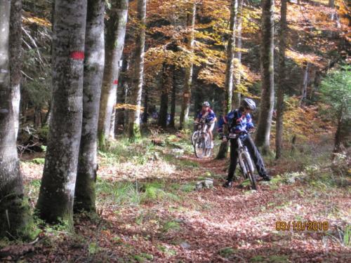 vtt_automne_2010_7_20141117_1905249372